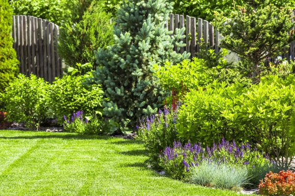 Garden Cultivation