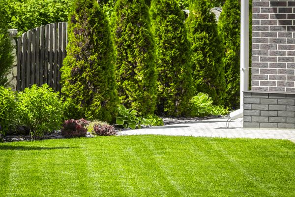 Turf Management Service - Turf Management Service Palm Bay, Florida