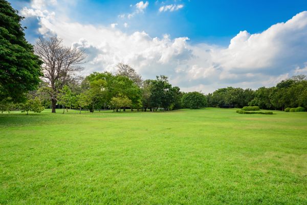 Green Space Tidying - Green Space Tidying Frederick, Maryland