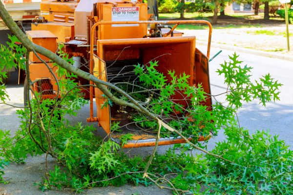 Branch Mulching