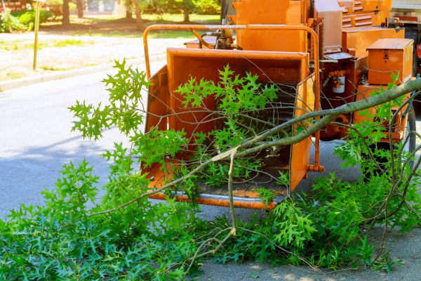 Limb Mulching - Limb Mulching Redding, California