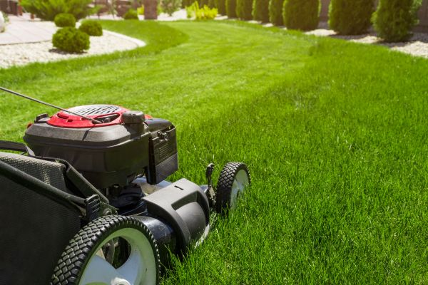 Consistent Turf Trimming