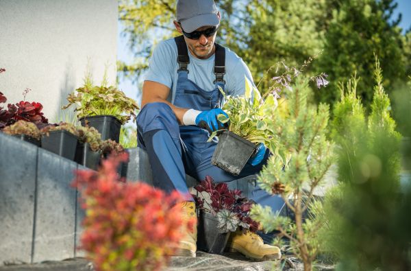 Flower Bed Planting