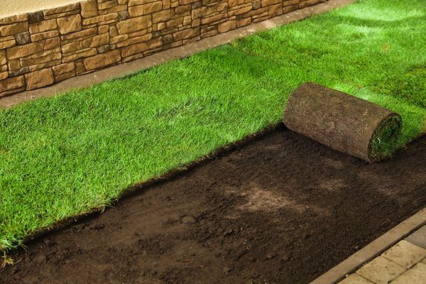 Bermuda Sod Replacement
