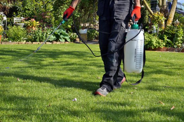Grass Fertilization