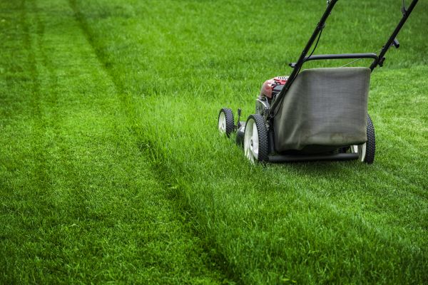 Exterior Grounds Maintenance