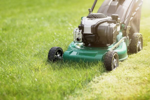 Home Lawn Maintenance