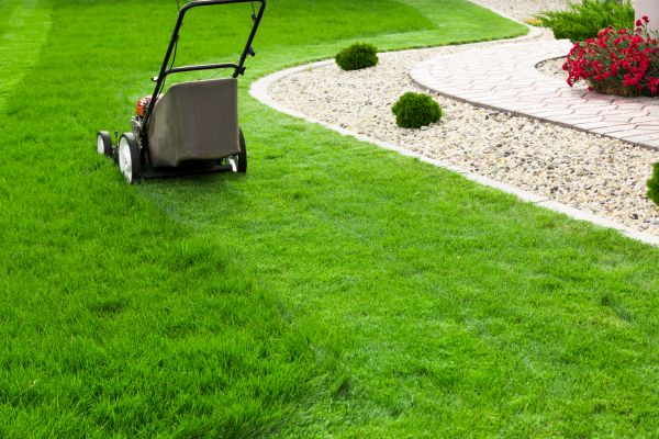 Fall Lawn Maintenance