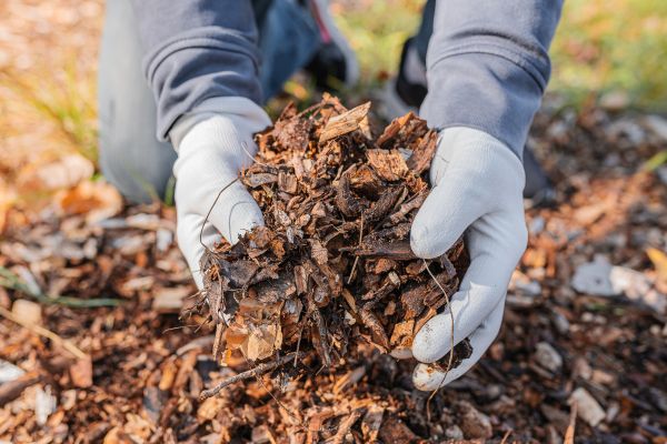 Apartment Mulching