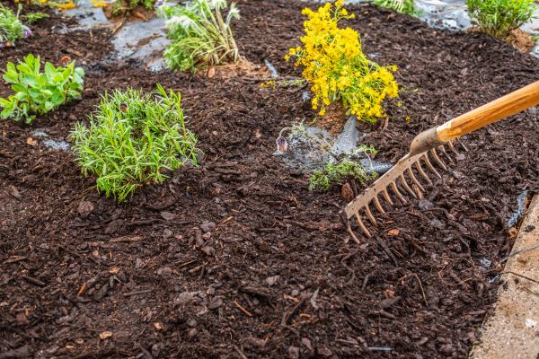 Flower Bed Mulching