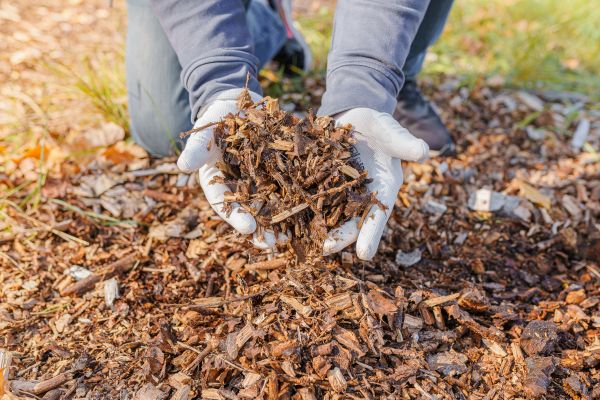 Mulch Disposal