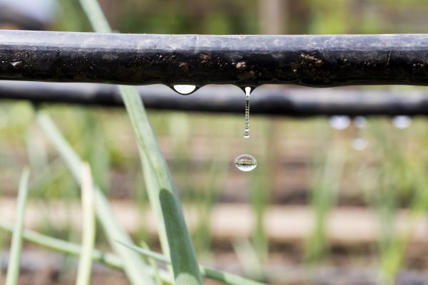 Backflow Sprinkler Service