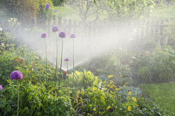 Garden Irrigation Repair