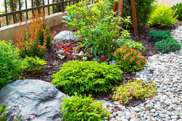 Landscaping Maintenance