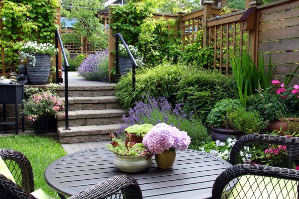 Small Space Landscaping - Small Space Landscaping Reno, Nevada