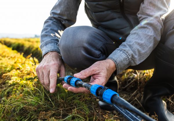 Automatic Sprinkler Repair