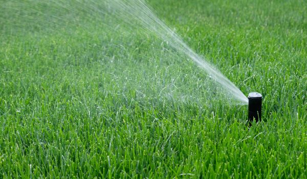 Commercial Sprinkler Repair