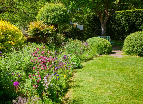 Yard Landscaping Service - Yard Landscaping Service Wake County, North Carolina