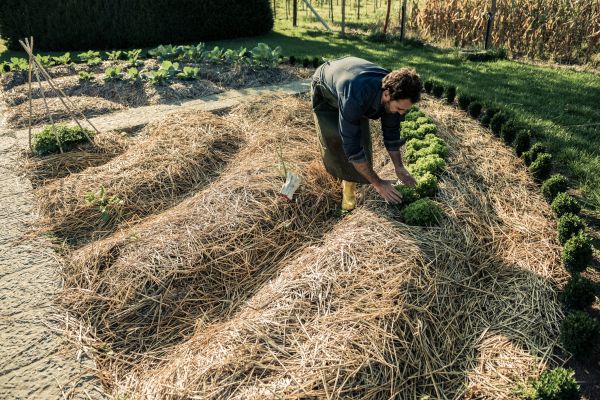 Straw Mulching Service - Straw Mulching Service Santa Clarita, California