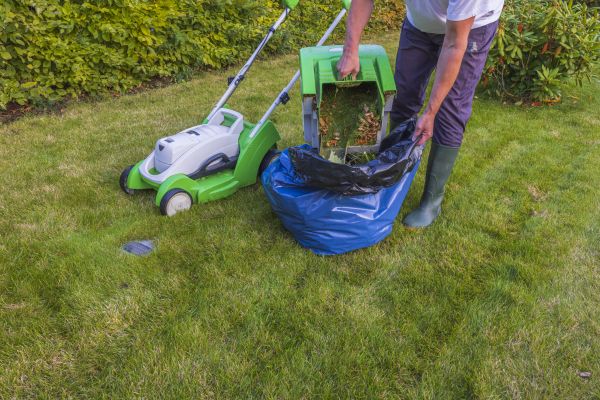 Damaged Grass Repair