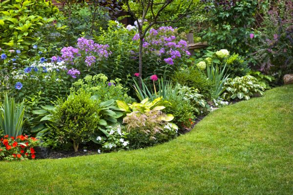 Floral Landscaping