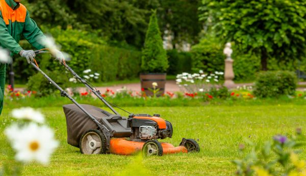Fall Landscaping Cleanup