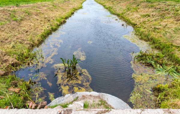 Drainage Swale Installation