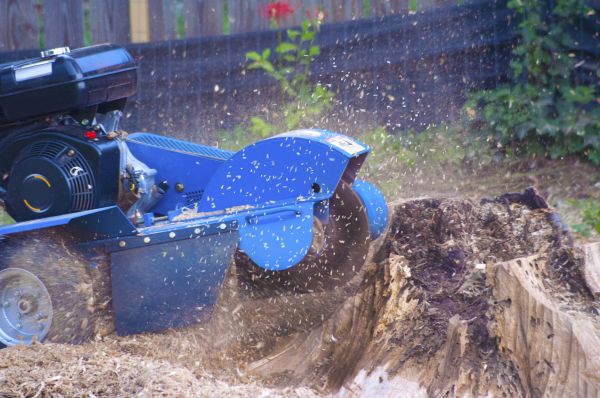 Limb Cutting