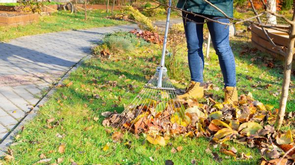 Garden Leaf Removal