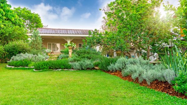 Cottage Garden Design
