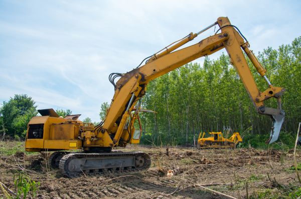 Bulldozer Clearing