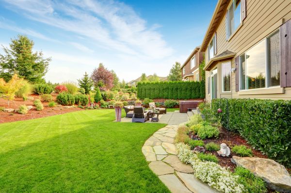 Backyard Makeover