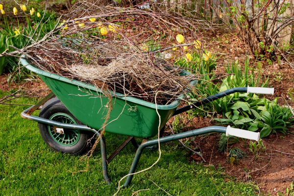 Fall Lawn Cleanup Service
