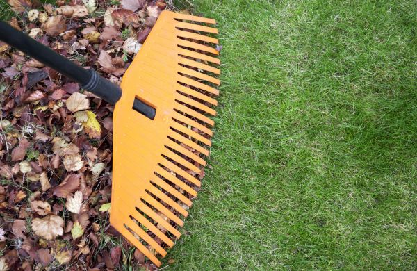 Leaf Blowing Service