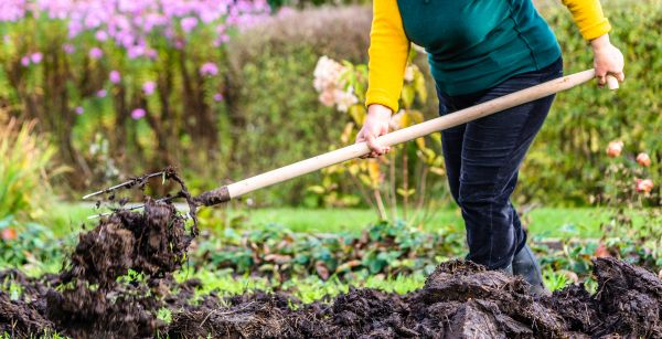 Top Dressing Service