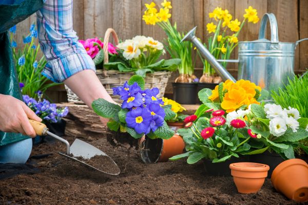 Garden Tending - Garden Tending Mound, Minnesota