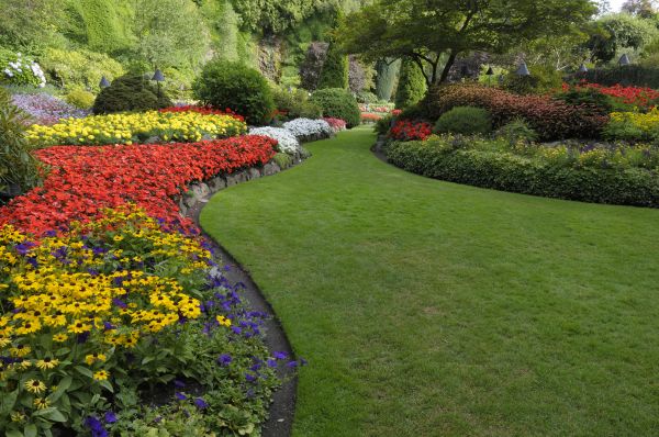 Bank Landscaping