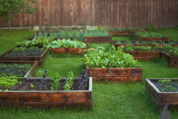 Backyard Gardening Service
