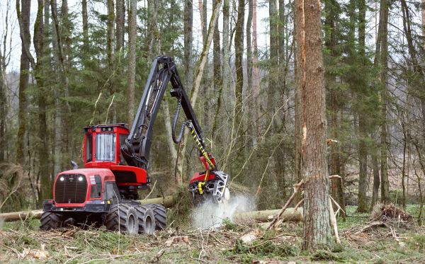 Forest Clearance Service - Forest Clearance Service Spokane County, Washington