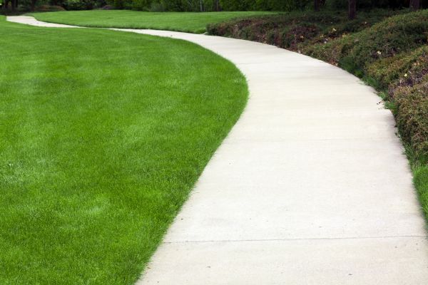 Dirt Driveway Repair