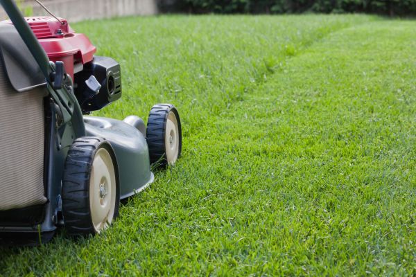 Summer Lawn Care - Summer Lawn Care Niceville, Florida
