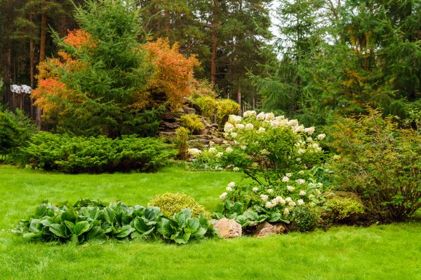 Backyard Oasis Installation