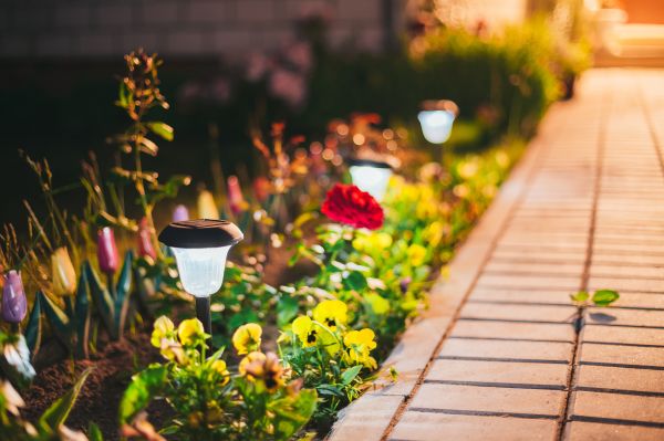 Backyard Lighting Service