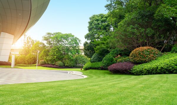 Courtyard Design Service