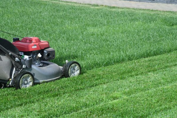 Bermuda Grass Trimming