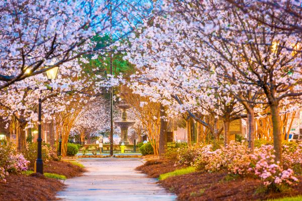 Business Landscape Design