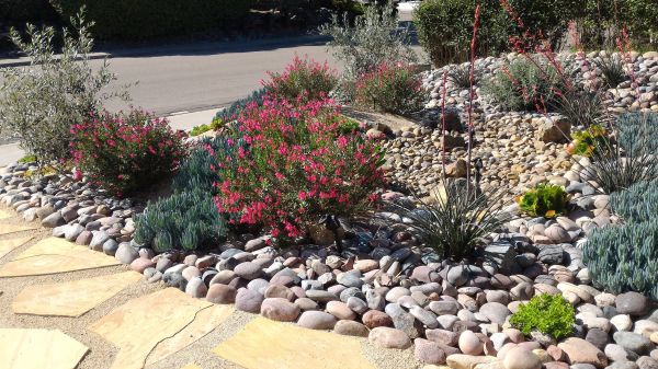 Apartment Mulching
