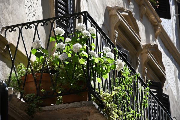 Backyard Overhaul Service