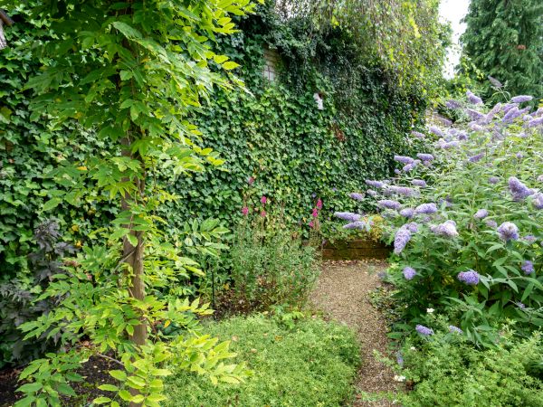 Backyard Garden Design