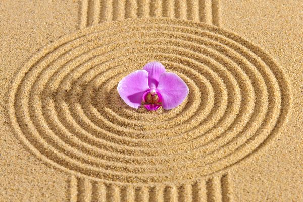 Sand Garden Landscaping - Sand Garden Landscaping West Jordan, Utah